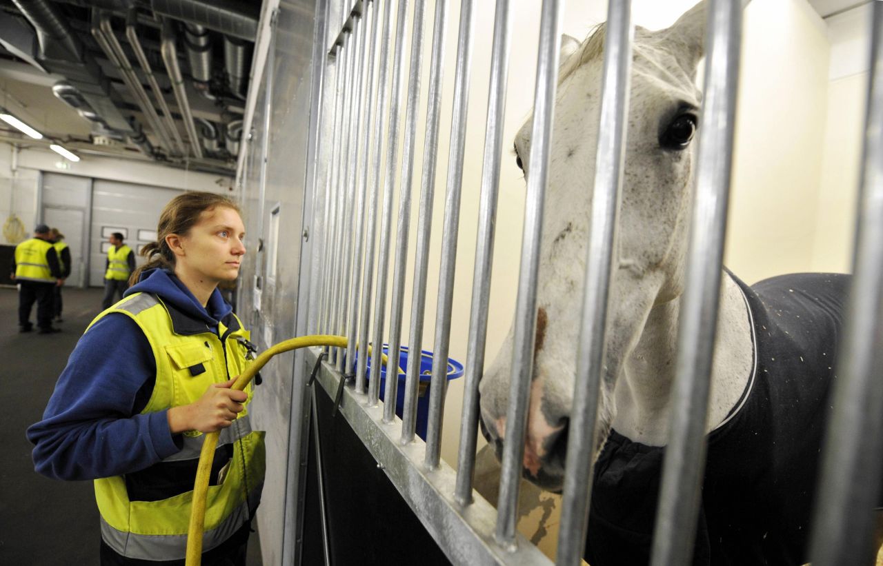 Much like humans, race horses require passports to travel, though instead of a photo they include a silhouette with details of markings, the names of owners, and vaccine records.