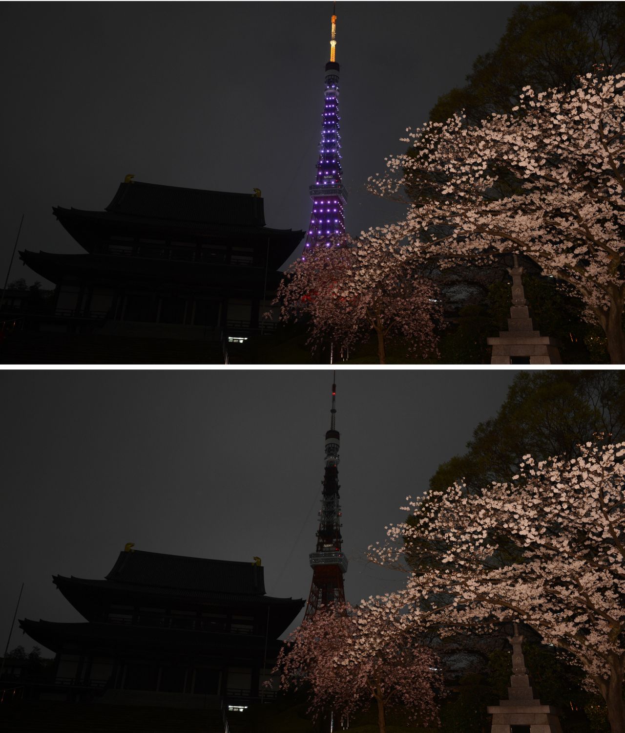 This photo combo shows the landmark Tokyo Tower beside the Zozoji Temple illuminated before Earth Hour.