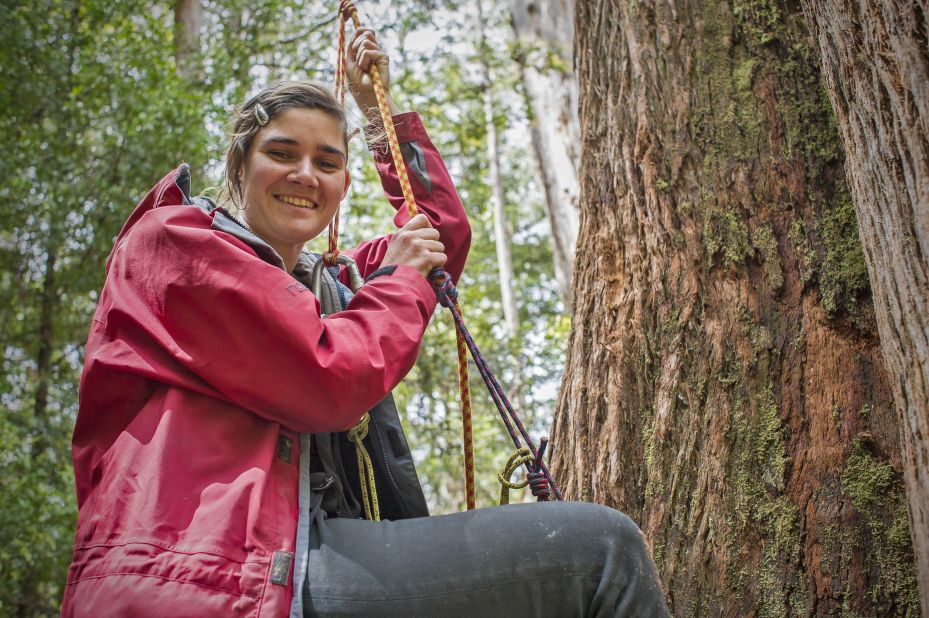 Miranda is pictured as she ascended an old growth Eucalypt tree in Tasmania's Southern Forests, where she remained for 449 days tied to a platform 60 meters above the ground. 