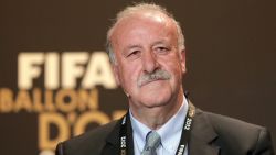 pinto del bosque spain football_00001020.jpg