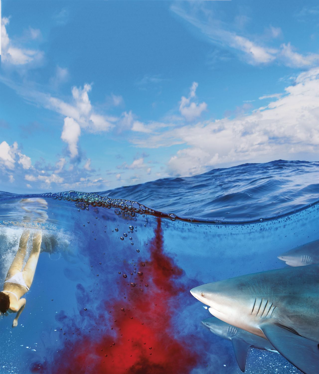 If a shark starts to zig-zag towards you, you need animal instinct. Thrust something at its super-sensitive nose or stab at its eyes or gills.