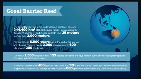 Great Barrier Reef facts and figures 