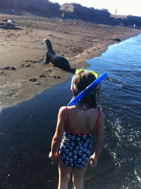 No doubt the Galapagos is an expensive trip with or without children. But visitors to the protected islands can see how animals have evolved over time without any fear of humans. 