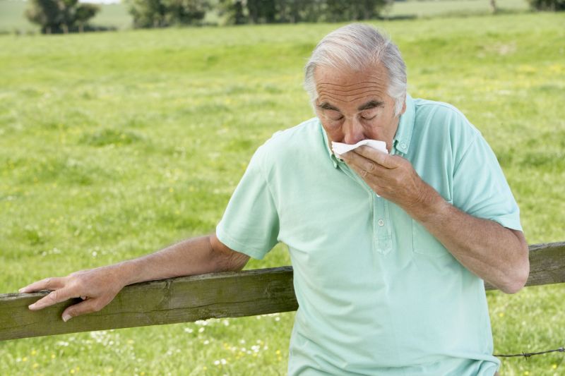 Worst U S Cities For Allergy Sufferers CNN   130328113528 Old Man Sneezing Allergies 