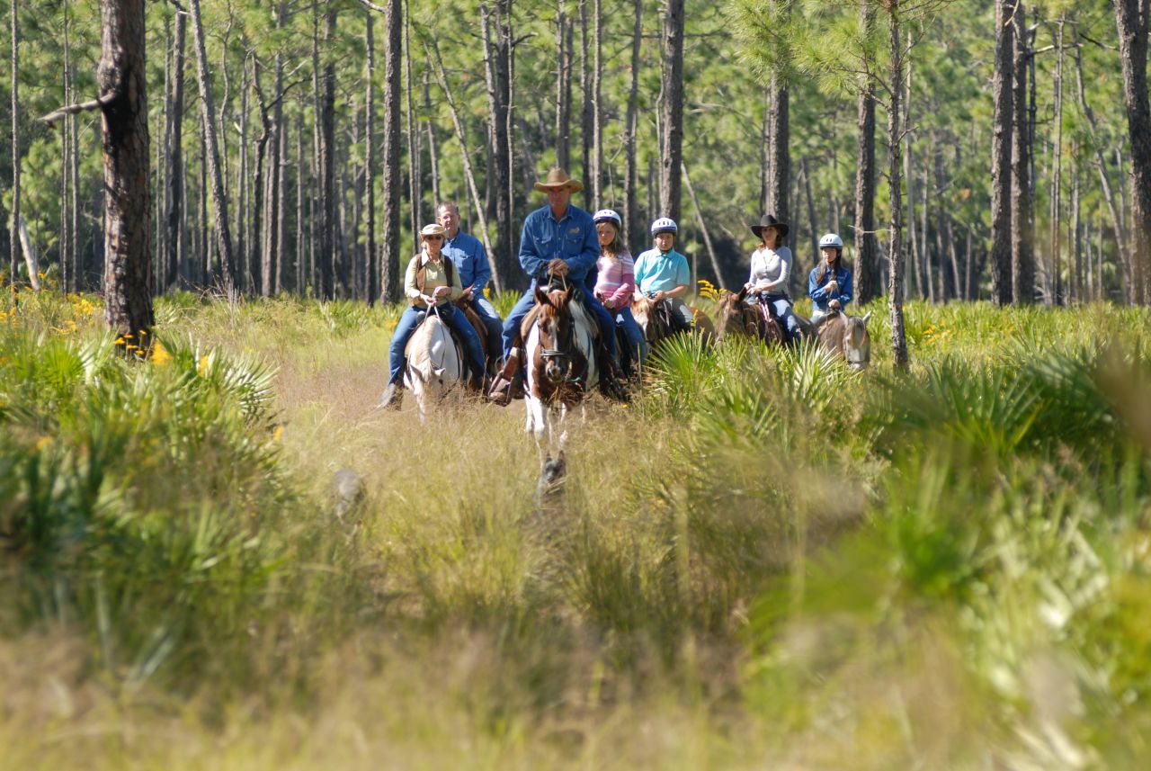 Check out sprawling conservation area Forever Florida on horseback.