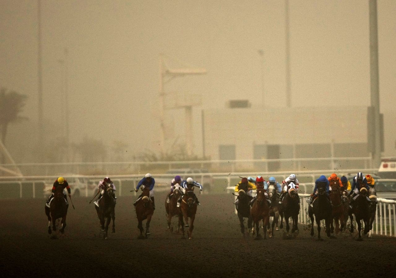 The extreme Gulf heat, up to 120 degrees Fahrenheit (48.9 degrees Celsius) at the height of summer, make breeding and racing thoroughbreds a difficult task. "In terms of racing, we have a short lifespan -- from the start of November to end of March," said Dubai World Cup chief executive, Frank Gabriel.