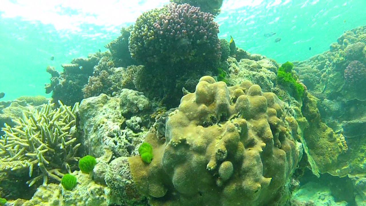 pkg cousteau oceans google street view_00024707.jpg