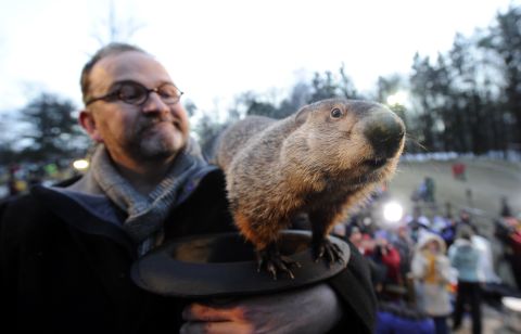 This is the famous Punxsutawney Phil in Punxsutawney, Pennsylvania. <a href="http://www.groundhog.org/groundhog-day/history/" target="_blank" target="_blank">Groundhog Day</a> is a tradition in the United States and Canada that celebrates a groundhog's emergence from his winter den. Superstition holds that if a groundhog sees his shadow as he leaves the burrow, there will be six more weeks of winter weather. If the groundhog does not see his shadow, you can expect an early spring. Native Americans also have traditions of animals predicting the weather, and<a href="http://www.native-languages.org/legends-groundhog.htm" target="_blank" target="_blank"> groundhogs figure prominently in their religions and mythology</a>.