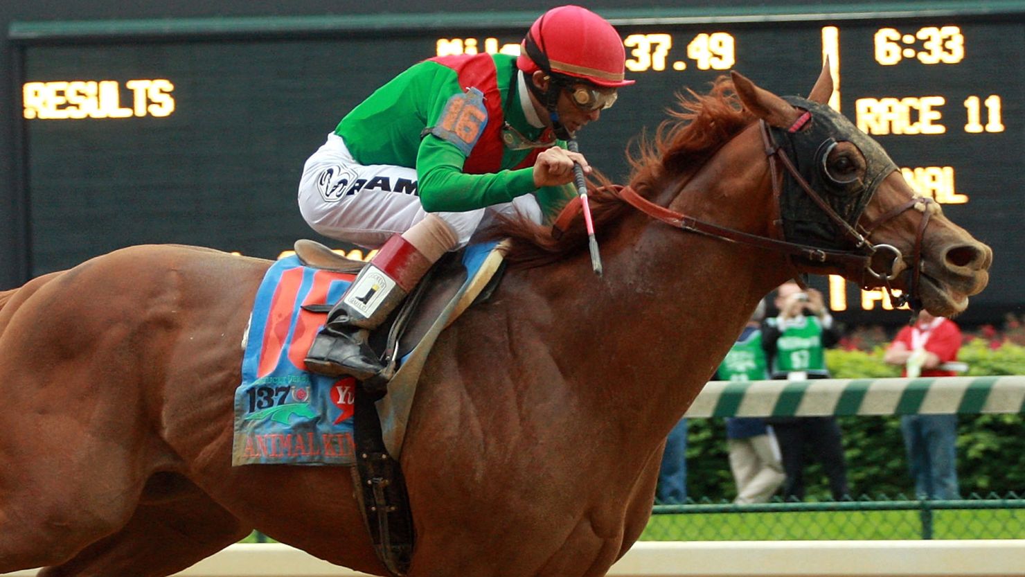Animal Kingdom, seen here winning the Kentucky Derby in 2011, has won the the Dubai World Cup, world's richest horse race. 