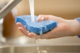 Did you know that there's probably more E. coli in your kitchen sink or on your cutting board than in your toilet? Or that sponges and dishcloths are like breeding grounds for salmonella?