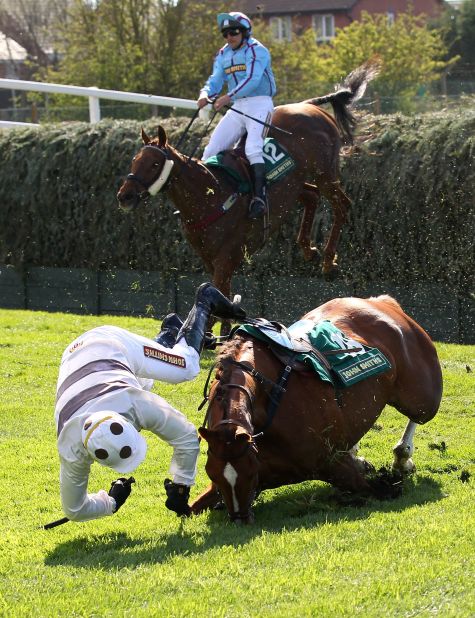 Thirty-six horses have died in the last 50 years of the race and animal rights activists have called for an overhaul of the course. "People see horses fall, and that's been a sick spectacle that has promoted the race," said Dene Stansall, horse racing consultant at Animal Aid. 