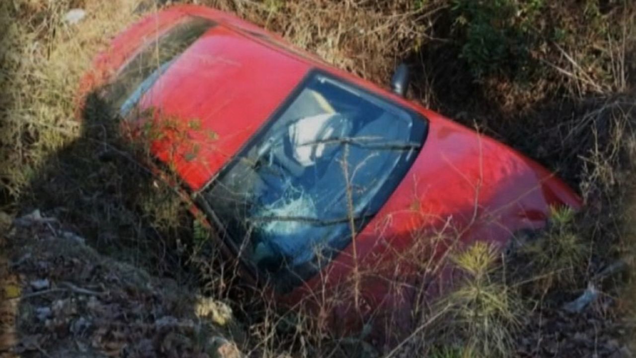 The body of Carolyn Watkins, 62, was found inside her wrecked car at a tow yard on Monday.