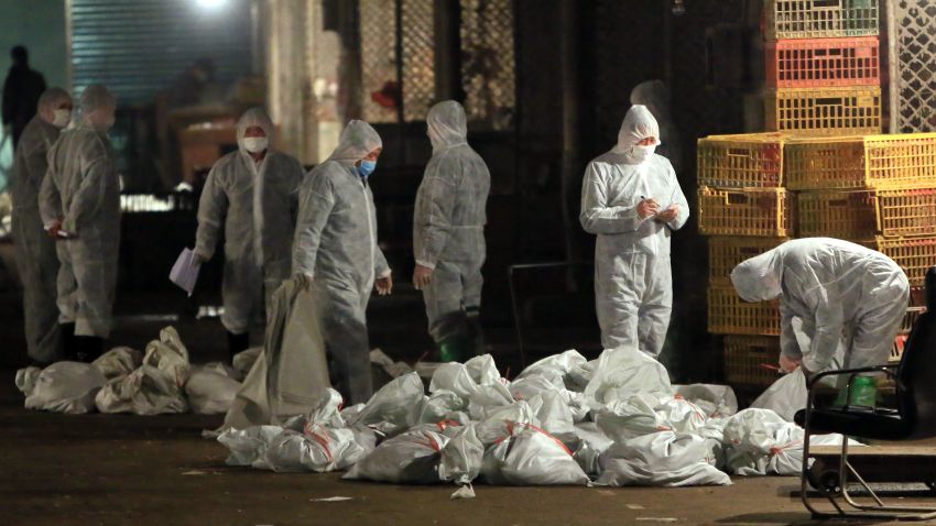 Chinese health workers collect the bags of dead chickens at Huhuai wholesale agricultural market in Shanghai on April 5, 2013. Authorities in Shanghai began the mass slaughter of poultry at a market after the H7N9 bird flu virus, which has killed five people in China, was detected there, state media said. CHINA OUT AFP PHOTO (Photo credit should read STR/AFP/Getty Images) 