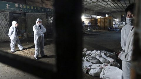 Health workers gather dead chickens at the Huhai poultry wholesale market, where the H7N9 bird flu virus was detected in pigeon samples, in Shanghai on April 5.