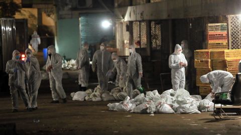 Chinese health workers collect bags of dead chickens at the Huhai wholesale market on April 5.