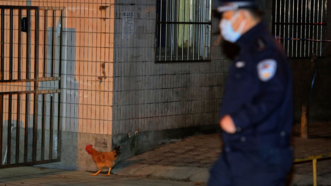 A policeman goes after a chicken that broke loose as Chinese health workers started culling chickens at Huhai wholesale market on April 5.
