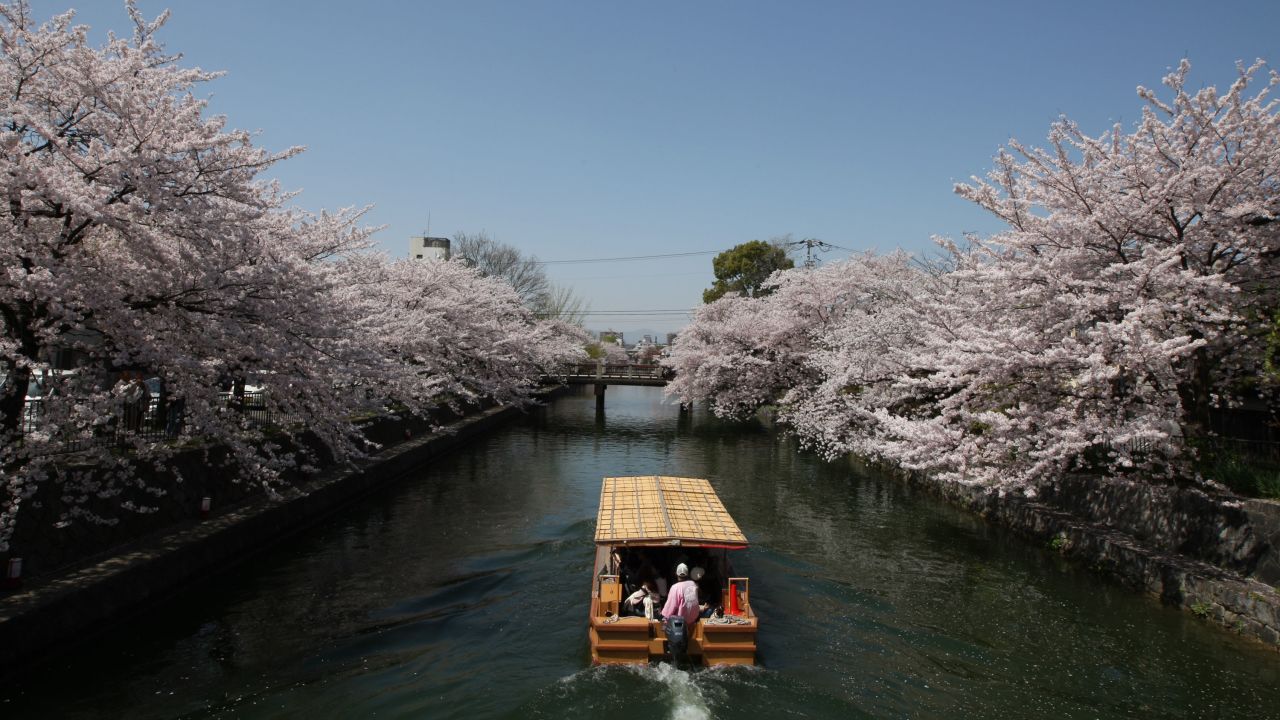 Tourists travel on a ferry near blooming cherry blossoms on the Okazaki Canal in Kyoto, Japan, on April 5. 