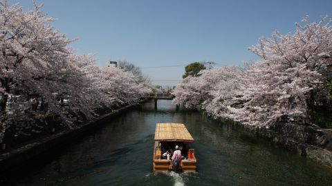 Tourists travel on a ferry near blooming cherry blossoms on the Okazaki Canal in Kyoto, Japan, on April 5.