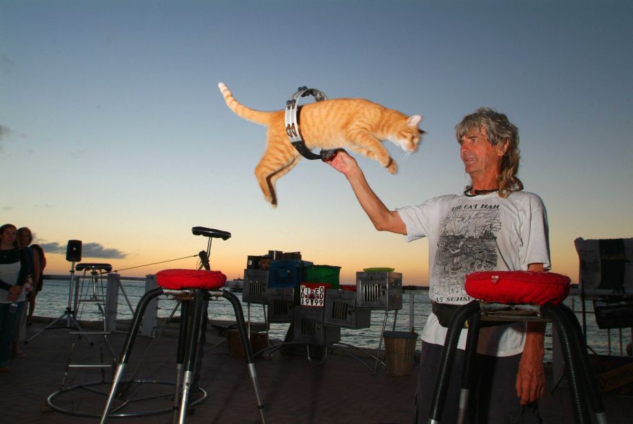 <a href="http://www.catmankeywest.com/" target="_blank" target="_blank">Dominique LeFort</a> and his troupe of trained house cats entertain regularly at a nightly arts festival in Key West, Florida. 