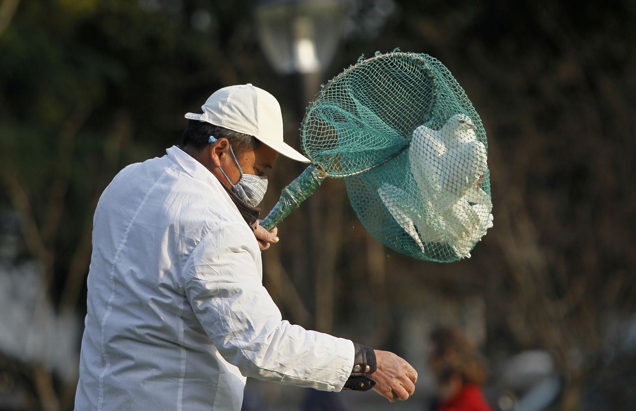 A public park worker catches a dove in People's Square in downtown Shanghai on April 6. 