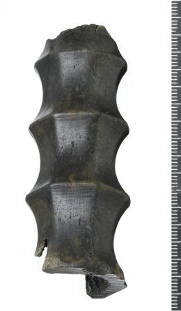 A bone sword handle.