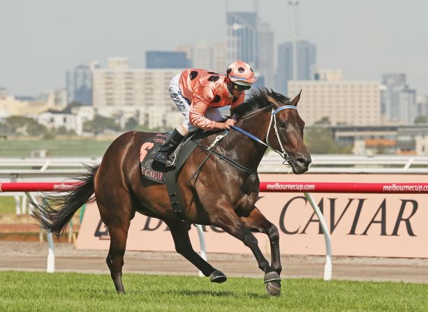 Australia's most celebrated racehorse is Black Cavair thanks to 25 victories from 25 starts.