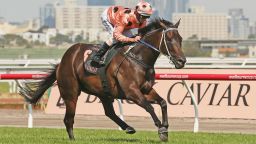 As Britain laid its Iron Lady Margaret Thatcher to rest, on the other side of the world, Australians were mourning the departure of a different leading lady -- champion race horse Black Caviar.