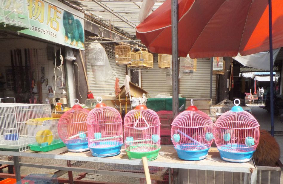 Empty cages are seen at a closed bird market on April 10 in Shanghai.