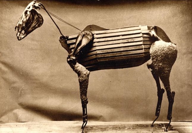 The gelding gained legendary status as the sole survivor of the the U.S. Cavalry in the 1876 Battle of the Little Bighorn, fought between General Custer's troops and native American Indians. 