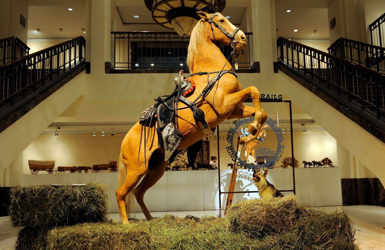 Cowboy actor Roy Rodgers' trusty sidekick, Trigger, was immortalized in his iconic rearing pose. Bought by a U.S. cable company for $266,500 in 2010, Trigger is one of many taxidermy horses on display across the world. 