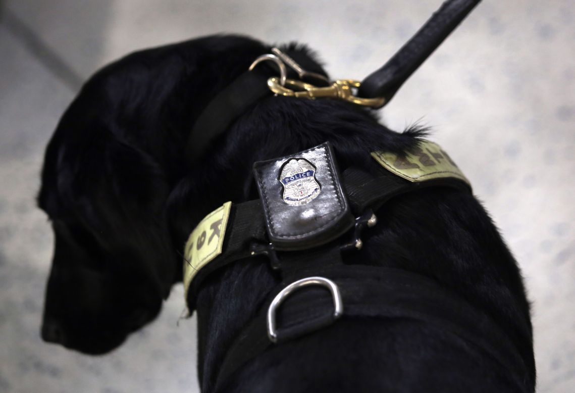A police K-9 unit dog stands by as train passengers pass through Penn Station on Tuesday in New York.