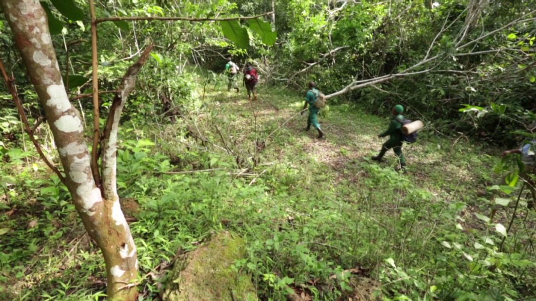Environmentalists and park rangers patrol Cameroon's Lobeke National Park as part of efforts to deter poaching and arrest illegal hunters.
