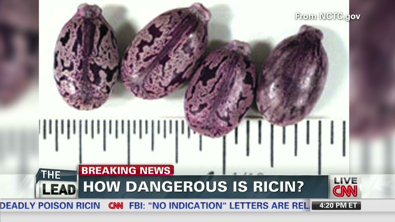 Ricin is poisonous if inhaled, injected, or ingested and is derived from castor beans.