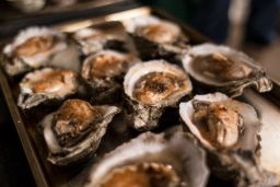 Both the supply and demand for Gulf oysters have decreased since the pipeline explosion.
