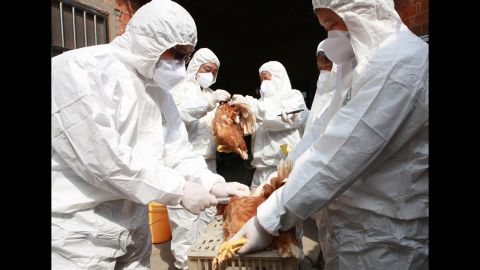 Health workers collect blood samples from chickens at a poultry farm in Taizhou, China, on April 17.