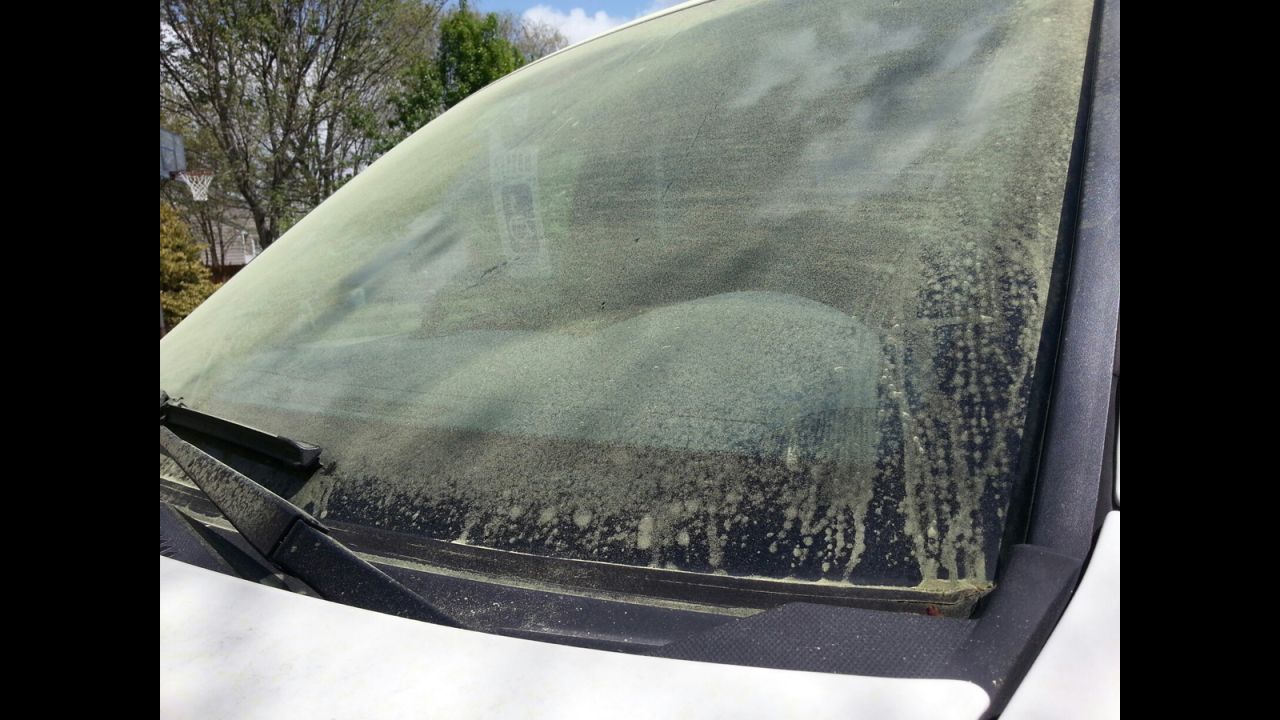 John Fiorentino says he traded the "white blanket of snow" for the "yellow blanket" of pollen when his family moved from northern New York to Raleigh, North Carolina, where he took this photo. "I sure don't miss the six months of snow, although the heat and pollen bring challenges all their own."