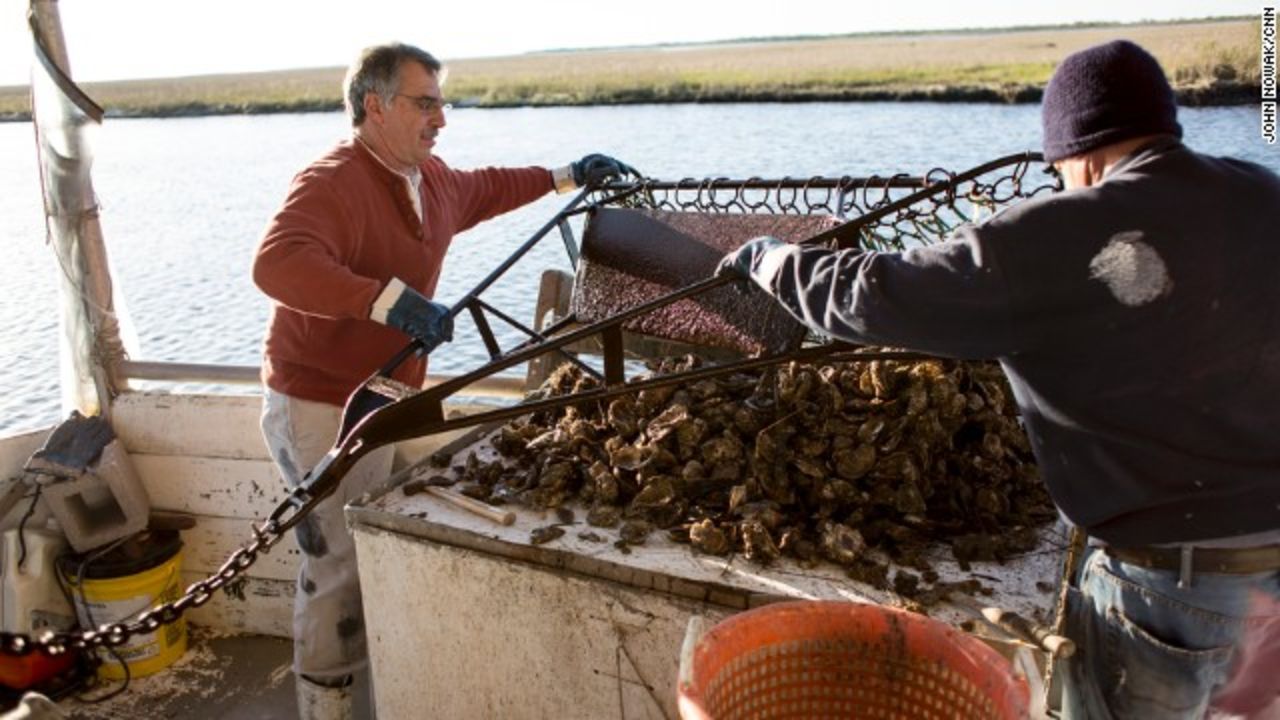 George Barisich, left, and his deckhand Bob Caretto separate oysters dredged from Bayou Yscloskey, Louisiana.