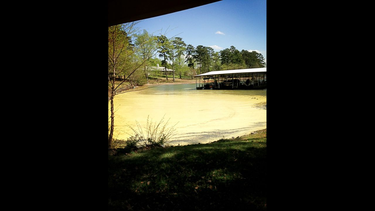 Melissa Blankenberg took this photo at Lake Wylie in South Carolina and posted it to Twitter. "The yellow blanket means to me springtime has arrived and summer is around the corner," she says.