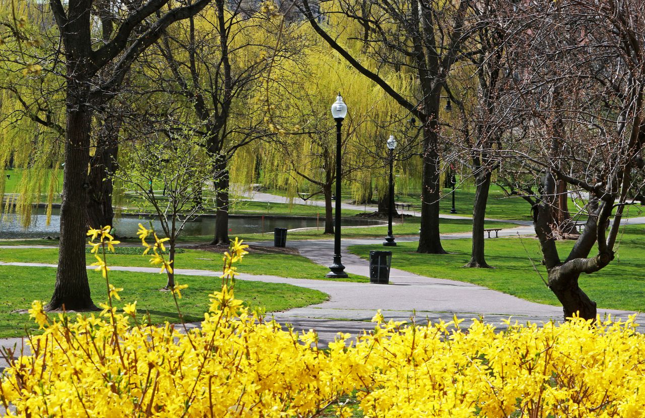 The Boston Public Garden