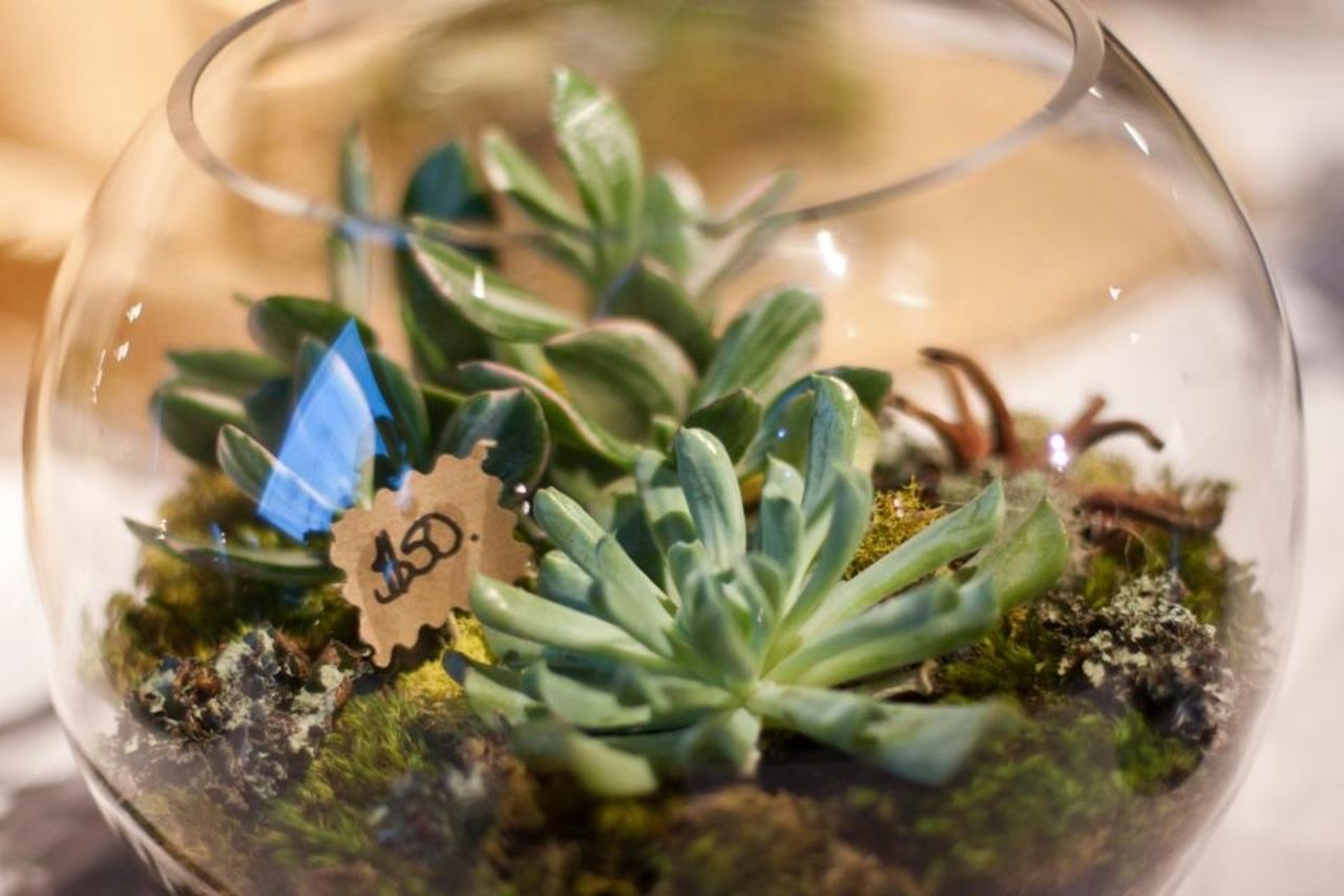 Melissa Hamburg-Hamby of Seattle is an interior designer. She says she started <a href="http://ireport.cnn.com/docs/DOC-959893">making terrariums</a> as a form of stress relief and has now made more than 100.