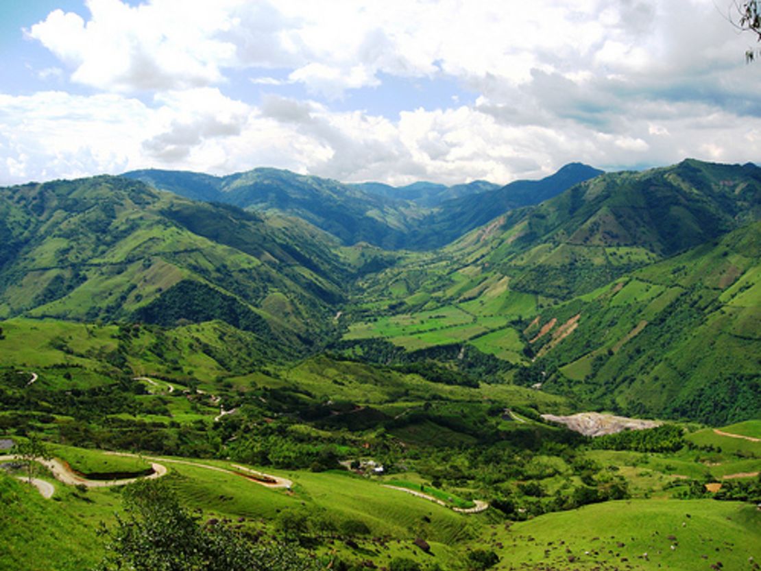 The neotropic Andean region. 