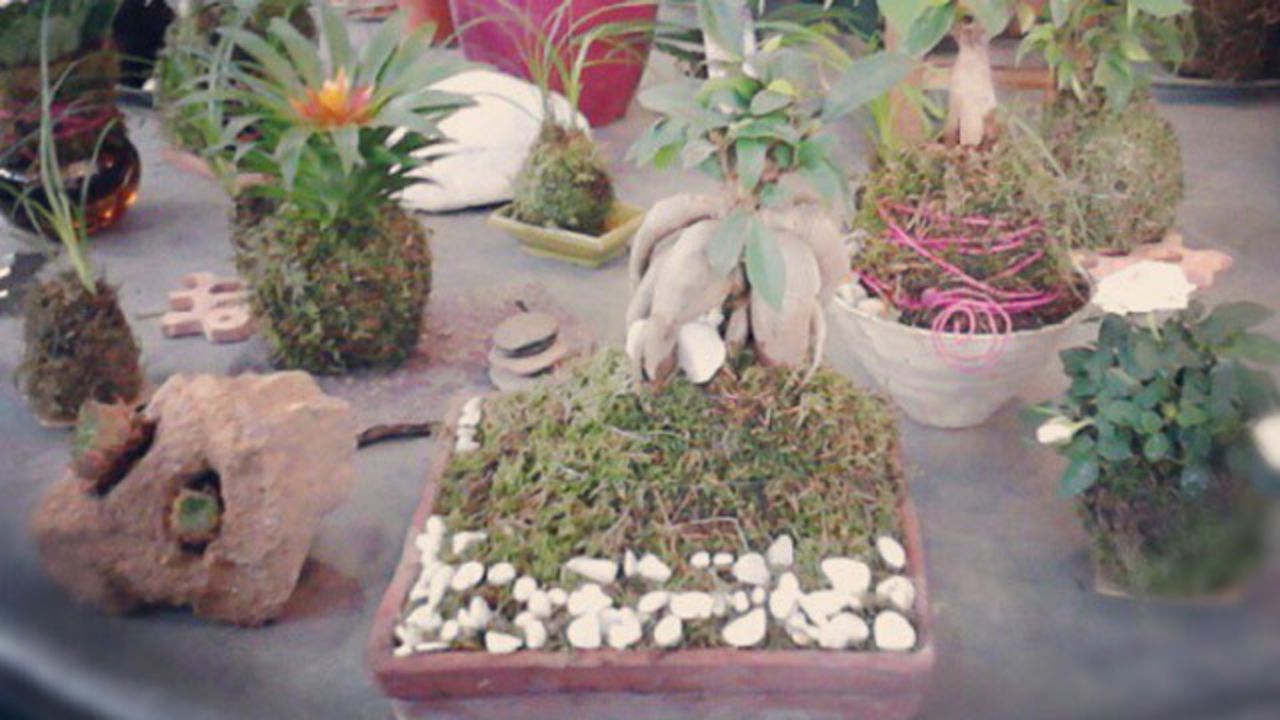 Instagram user @dr_matt_green_hand shared this photo of some of his <a href="http://ireport.cnn.com/docs/DOC-959173">kokedama projects</a>. Kokedama are Japanese garden arrangements where plants' roots are encased in moss and sometimes suspended from string.