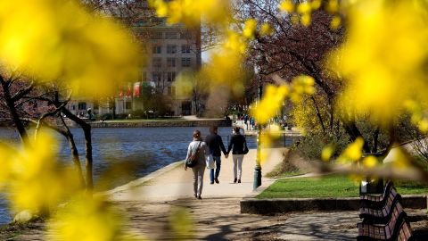 Sunshine bathes the banks of Inner Alster Lake in Hamburg, Germany, on Thursday, April 18.