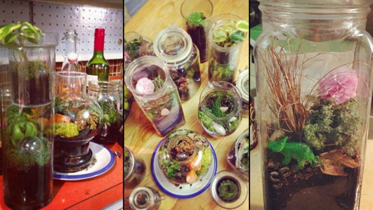 Walker shared several photos of her terrarium projects.