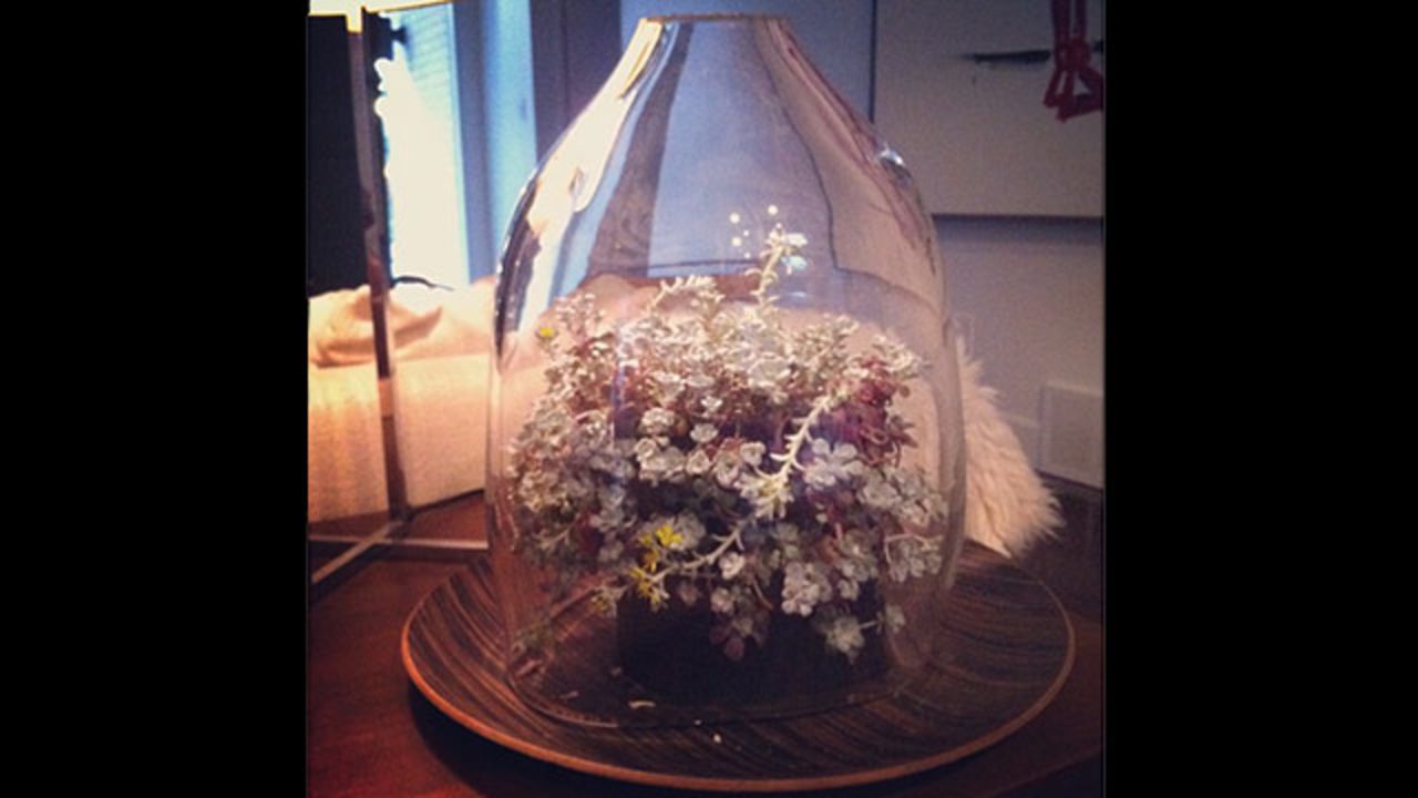 Hamburg-Hamby says a friend made this <a href="http://ireport.cnn.com/docs/DOC-959993">bell jar display</a> for her.