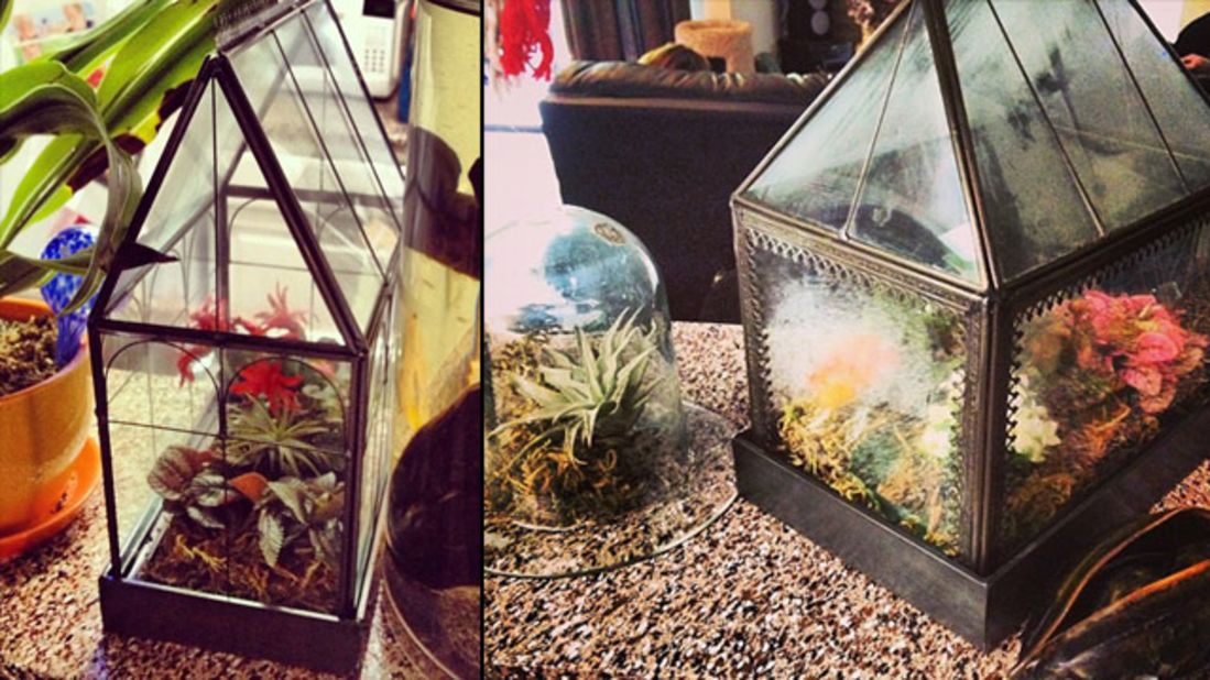 Creating a terrarium can be a very comforting art form for some. Tracey Martin of Arlington, Texas, says her family inspires her creations, including <a href="http://ireport.cnn.com/docs/DOC-959894">small greenhouses</a>. "My grandmother always has a lot of plants around her home, so when I moved to Arlington to go to school, I thought it would be nice to have some too," she said.