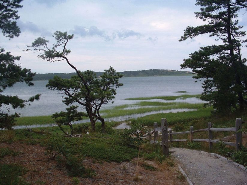 Beth Pratt explored nature as a child in Cape Cod National Seashore in Massachusetts. The Great Island Trail in Wellfleet is shown here. 