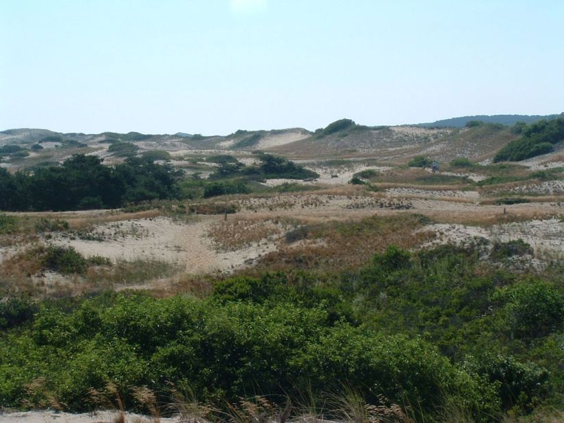 Enjoy the Province Lands dunes in Provincetown, part of Cape Cod National Seashore.