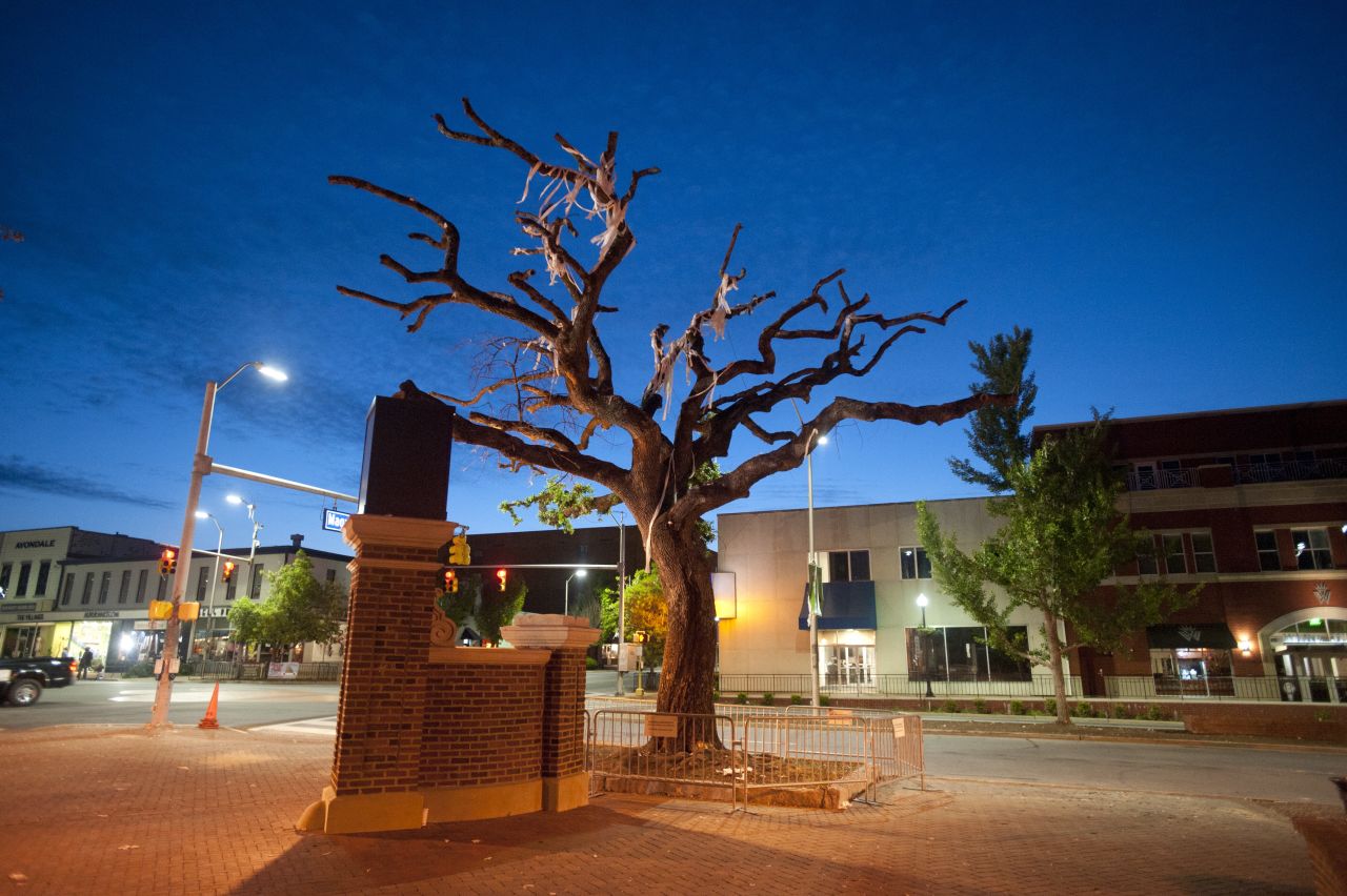 The sun rises before the live oaks are taken out on Tuesday.