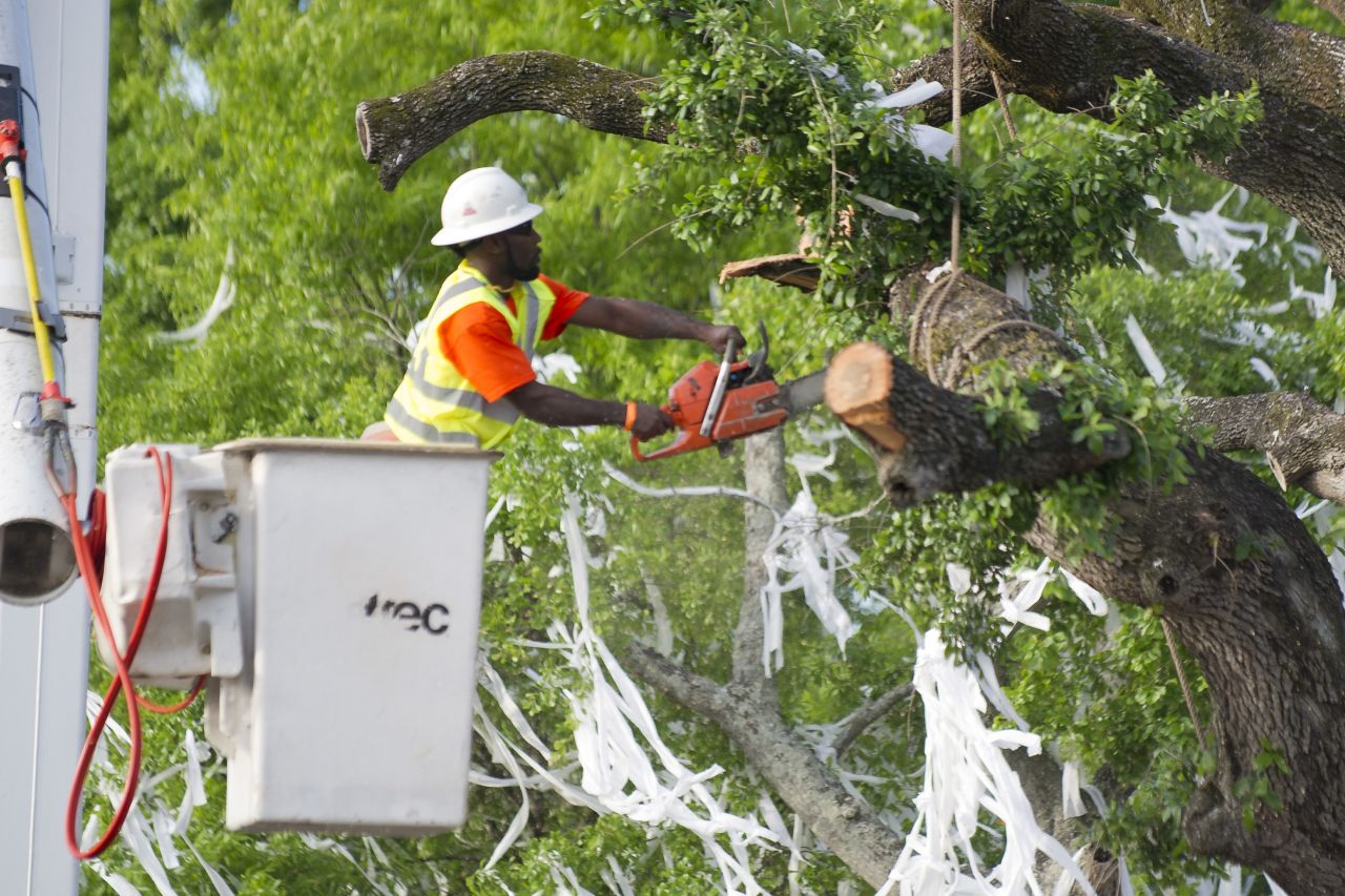 A crew member puts a chainsaw to a branch on Tuesday.